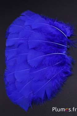 Dinde - 6-8 cm - bleu persan